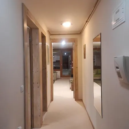 Apartment Adna Trnovo